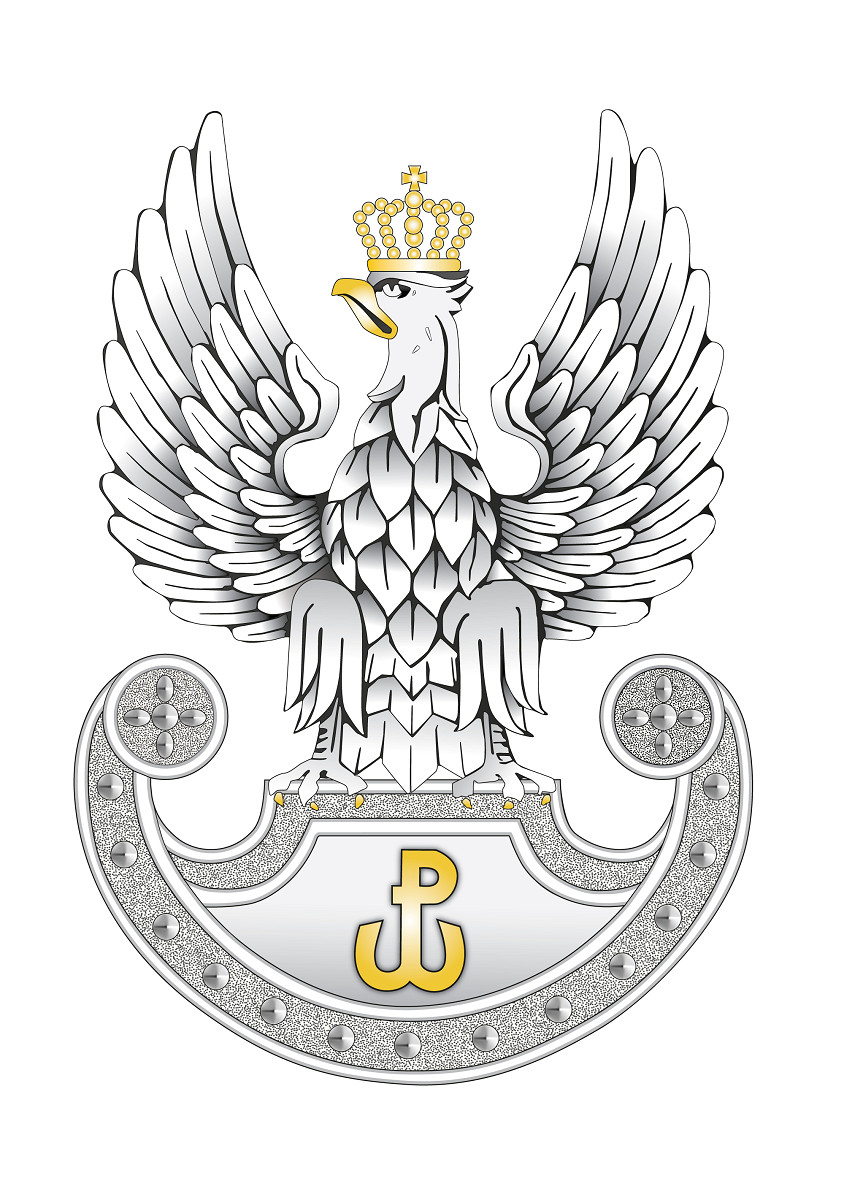 Ćwiczenia Wojsk Obrony Terytorialnej w Nowym Targu