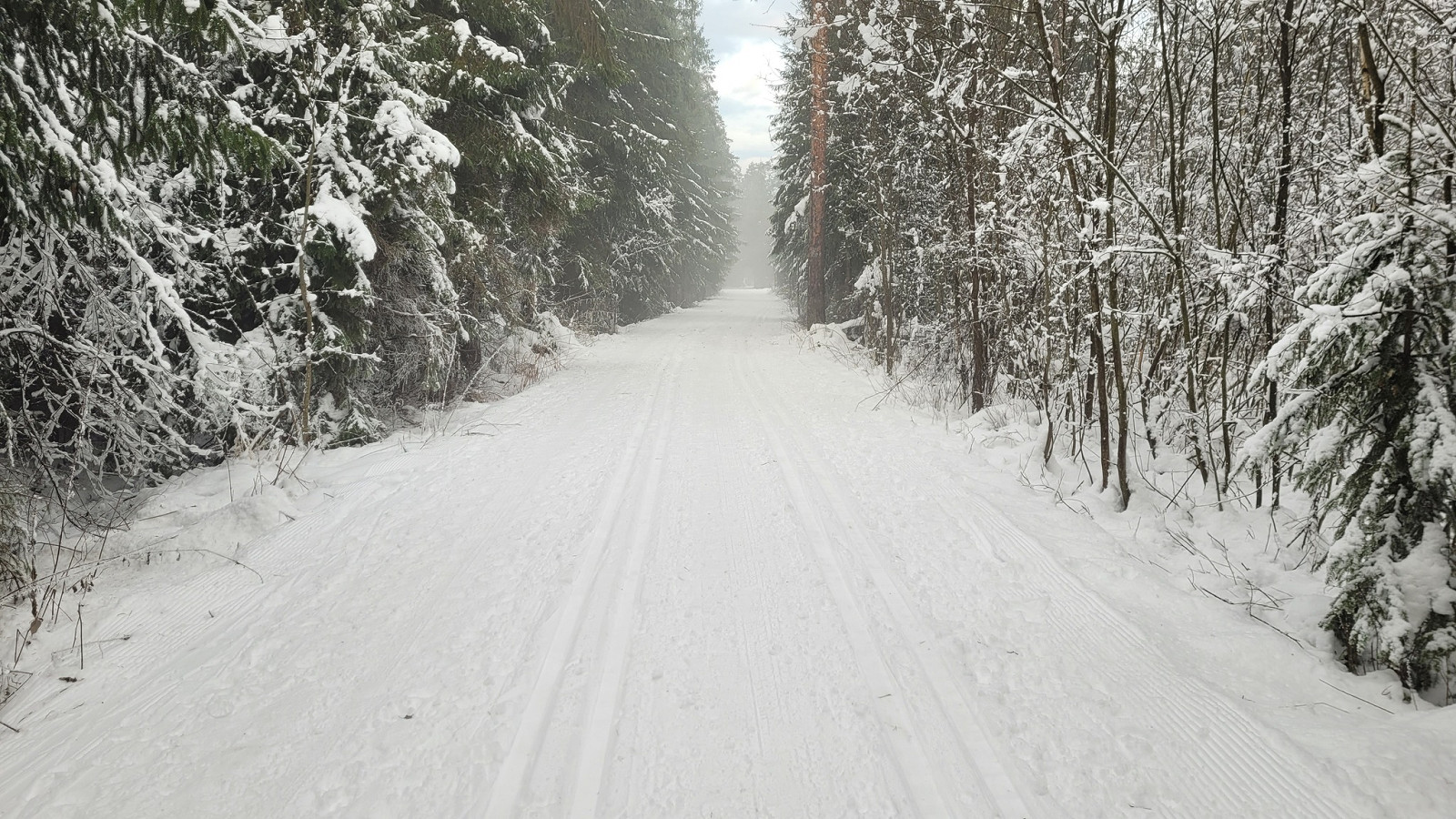 Aktualne warunki na nowotarskich trasach biegowych – stan na 05.12.25