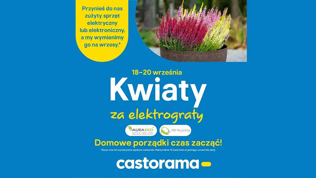 Akcja ,,Kwiaty za elektrograty''