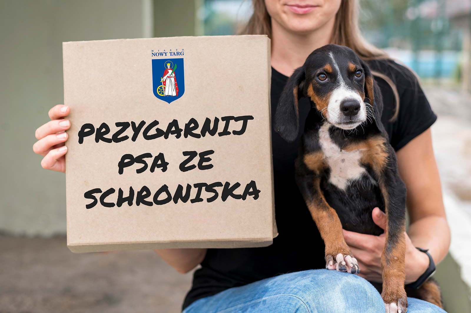 Psy z nowotarskiego schroniska czekają na nowy dom.