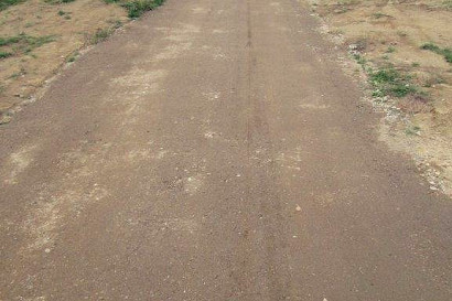 20241031-004.jpg
