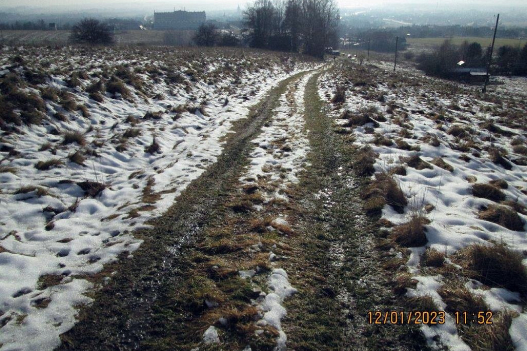 20231106-004.jpg