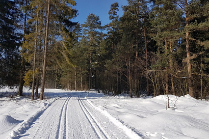 20191231-005.jpg