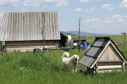 200707-straczek4.jpg