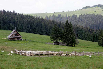 200707-gach4.jpg