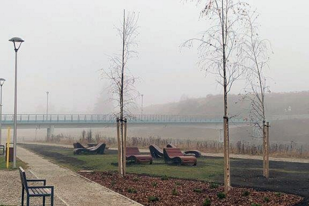 20211116-004.jpg