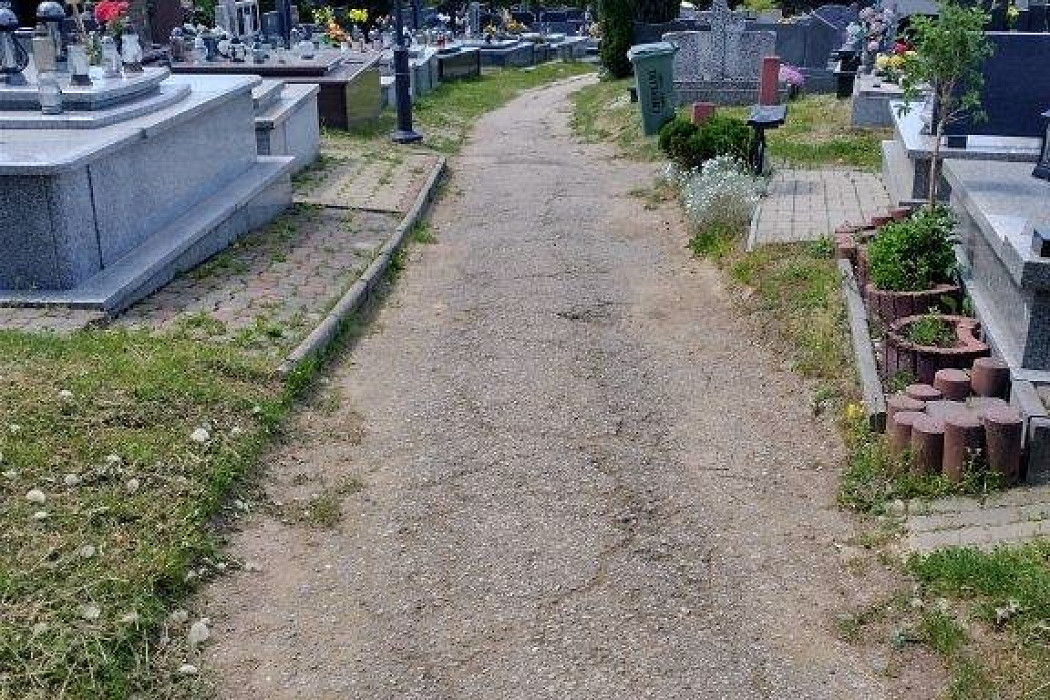 20221011-003.jpg