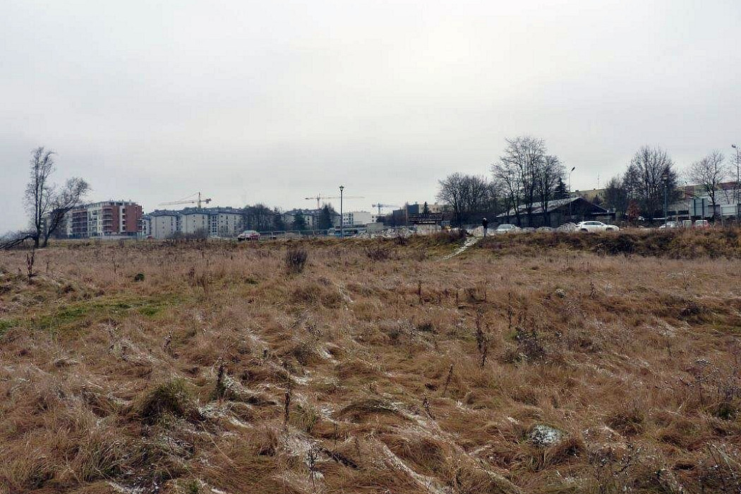 20201215-004.jpg
