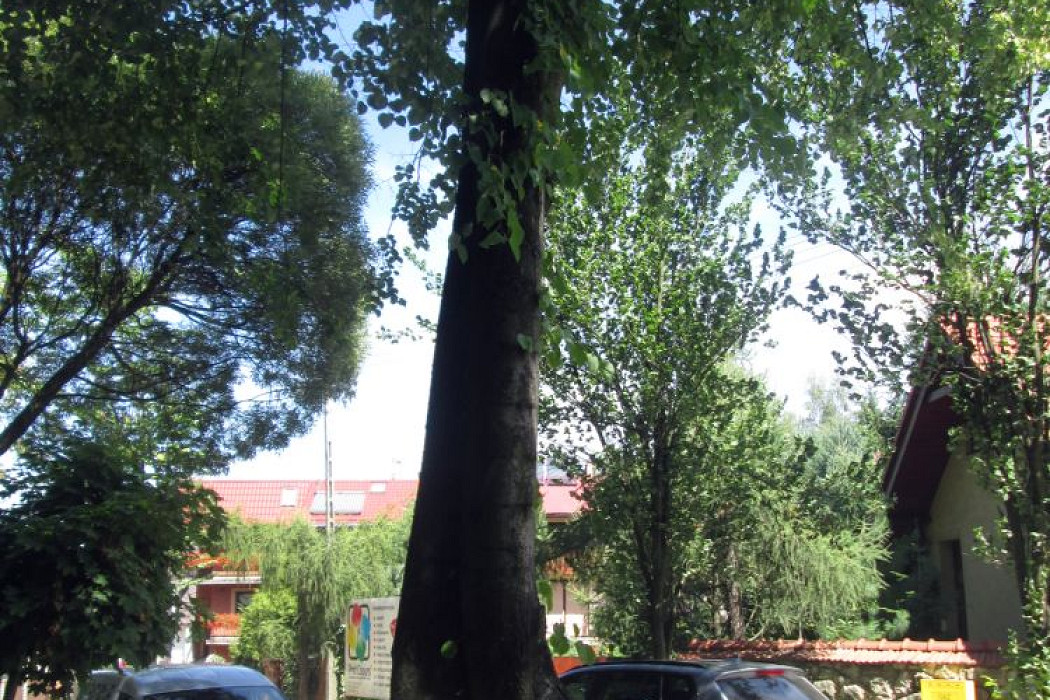 2016drogi_5-04.jpg