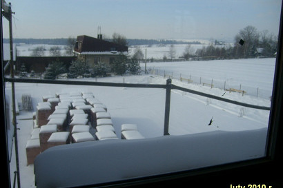 2010sg-03.jpg