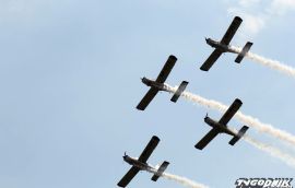 20230710-224.jpg