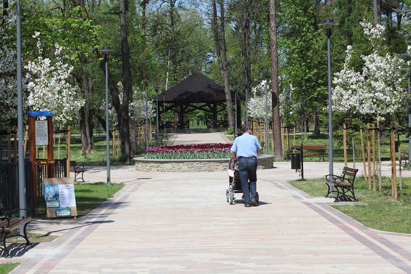 Park.jpg [159.81 KB]