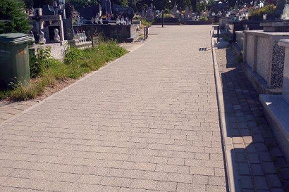 20240627-003.jpg