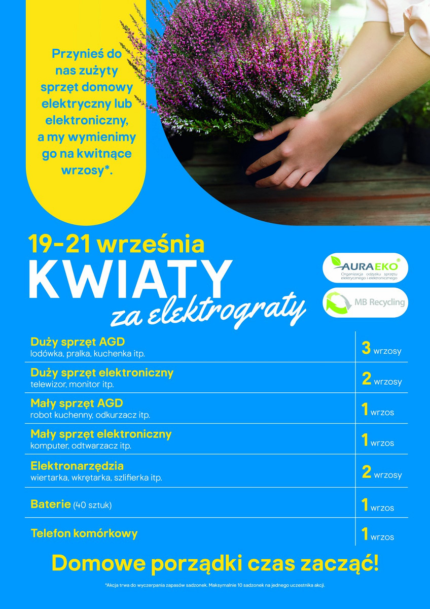 20240917kwiaty-za-elektrograty.jpg