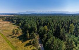 20240922-DJI_20240922132357_0222_D-DNG.jpg