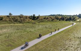 20240922-DJI_20240922134155_0271_D-DNG.jpg