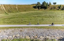 20240922-DJI_20240922134135_0267_D-DNG.jpg