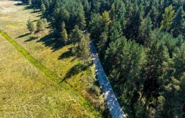 20240922-DJI_20240922132401_0223_D-DNG.jpg