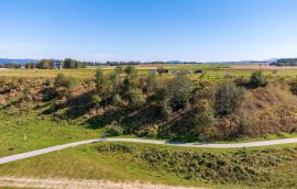 20240922-DJI_20240922132148_0213_D-DNG.jpg