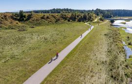 20240922-DJI_20240922133843_0238_D-DNG.jpg