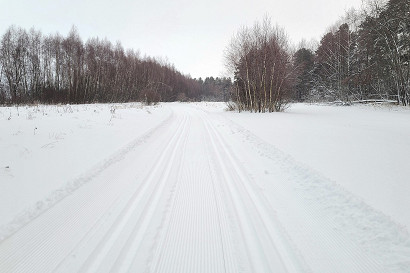 20250113-003.jpg