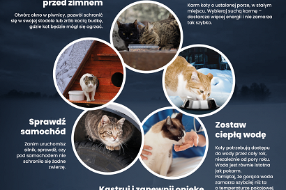 20250206zwierz-kwz-1a.png