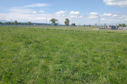20250708-002.jpg
