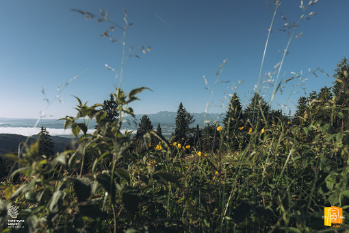 TST-2025-Katarzyna-Gogler-Fotografia (3 of 284).jpg
