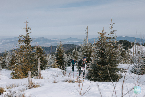 Turbacz-Winter-Trail-2025-Katarzyna-Gogler-Fotografia (63 of 424).jpg