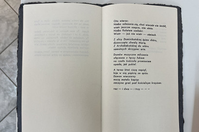 28 - wernisaz-mtt-im-prof-jozefa-mroszczaka-w-galerii-wit-w-warszawie-fa921.jpeg