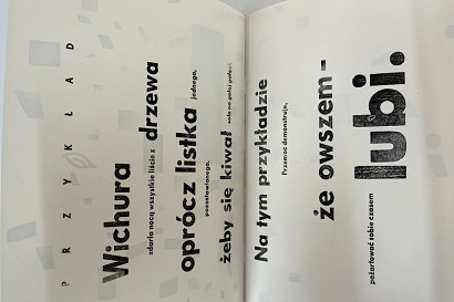 55 - wernisaz-mtt-im-prof-jozefa-mroszczaka-w-galerii-wit-w-warszawie-c1664.jpeg