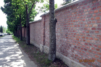 20260615-001.jpg