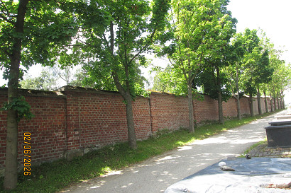 20260615-002.jpg