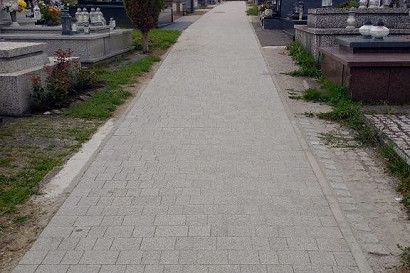 20260825-002.jpg